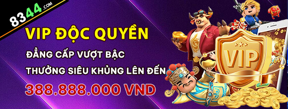 vwinvn